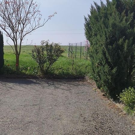 Gite La Metairie, Au Calme A La Campagne Villa Saint-Seurin-de-Palenne Bagian luar foto